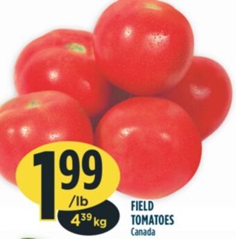 Marché Adonis Field tomatoes offer