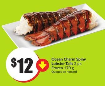 FreshCo Ocean charm spiny lobster tails 2 pk frozen 170 g offer