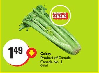 FreshCo Celery product of canada canada no. 1 offer