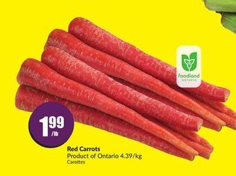 FreshCo Red carrots product of ontario 4.39/kg offer