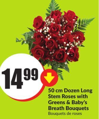 FreshCo 50 cm dozen long stem roses with greens & baby's breath bouquets offer