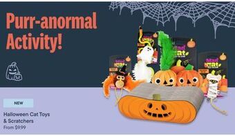 Petvalu Halloween cat toys & scratchers offer
