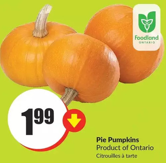 FreshCo Pie pumpkins offer