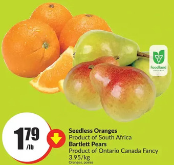 FreshCo Seedless oranges | bartlett pears offer