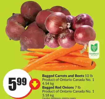 FreshCo Bagged carrots and beets | bagged red onions offer
