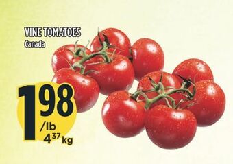 Marché Adonis Vine tomatoes offer