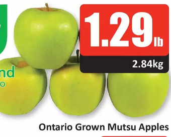 Starsky Ontario grown mutsu apples offer