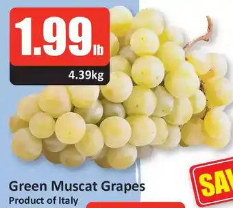 Starsky Green muscat grapes offer