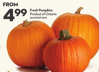 Longo's Fresh pumpkins offer