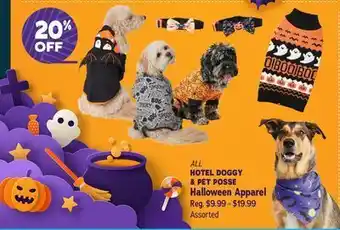 Hotel doggy & pet posse halloween apparel