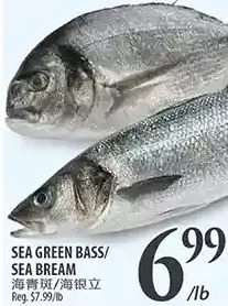 Al Premium Food Mart Sea green bass/sea bream offer