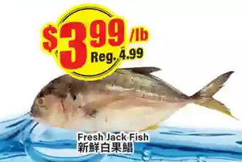 Btrust Supermarket Fresh jack fish offer