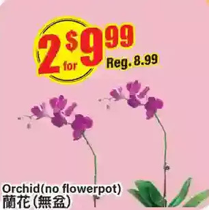 Btrust Supermarket Orchid offer