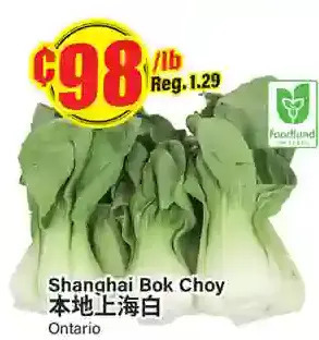 Btrust Supermarket Shanghai bok choy offer