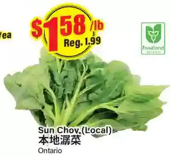Btrust Supermarket Sun choy offer