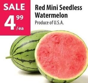 Co-op Red Mini Seedless Watermelon offer