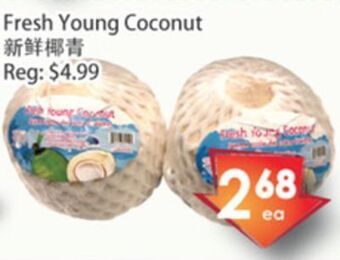 Fresh Palace Supermarket Fresh young coconut offer