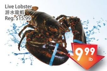 Fresh Palace Supermarket Live lobster offer