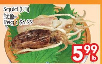Superking Supermarket Squid offer