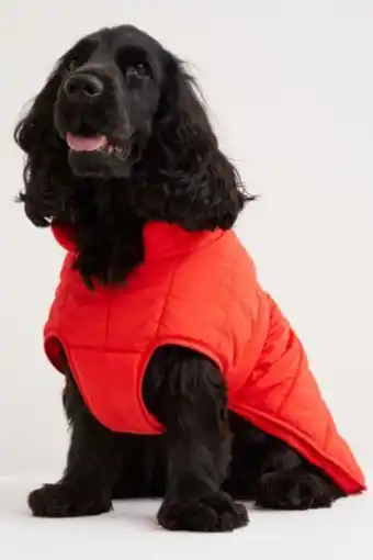 H&M Quilted dog jacket offer