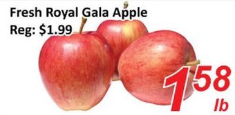 Seasons Foodmart Fresh royal gala apple offer