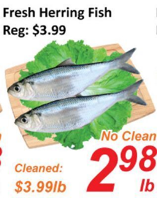 Seasons Foodmart Fresh herring fish offer