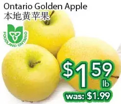 Ample Food Market Ontario golden apple offer