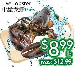 Ample Food Market Live lobster offer