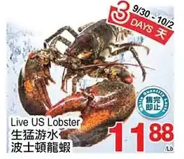 T&T Supermarket Live us lobster offer