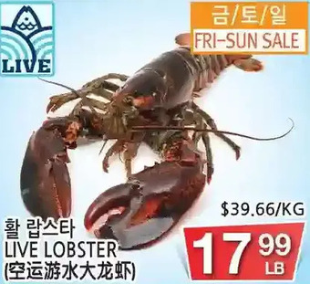 H-Mart Live lobster offer