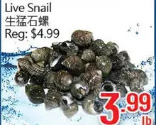 Hong Tai Supermarket Live snail offer