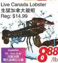 Foody World Live canada lobster offer
