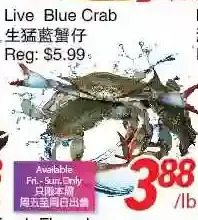 Foody World Live blue crab offer