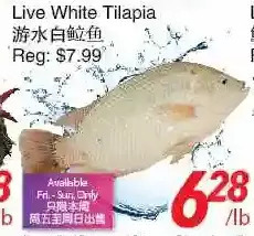 Foody World Live white tilapia offer