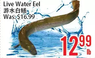 Bestco Food Mart Live water eel offer