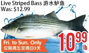 Bestco Food Mart Live striped bass offer
