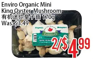 Bestco Food Mart Enviro organic mini king oyster mushroom offer