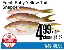 Nations Fresh Foods Fresh baby yellow tail snapper offer