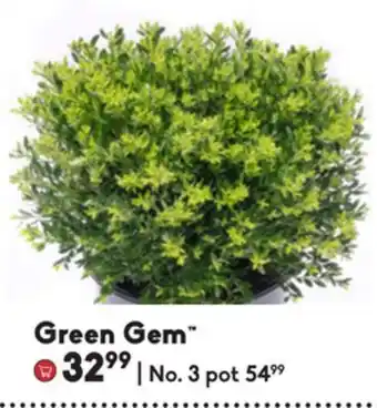 Green gem™