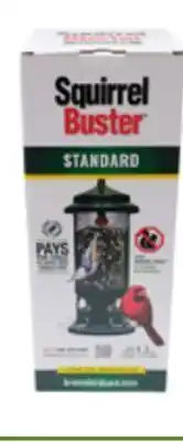 Sheridan Nurseries Squirrel buster standard feeder offer