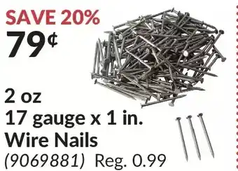 Princess Auto 2 oz 17 gauge x 1 in. wire nails offer