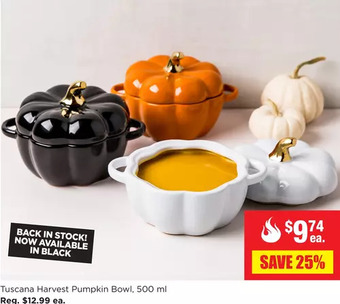 Kitchen Stuff Plus Tuscana harvest pumpkin bowl offer