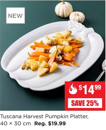 Kitchen Stuff Plus Tuscana harvest pumpkin platter offer