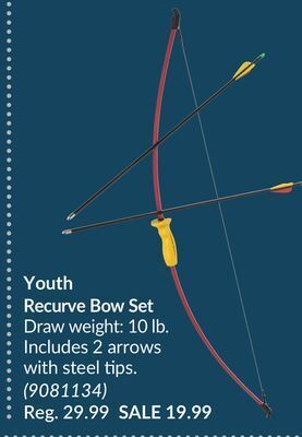 Princess Auto Youth recurve bow set offer