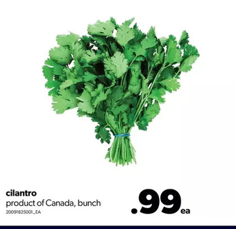 Real Canadian Superstore Cilantro offer