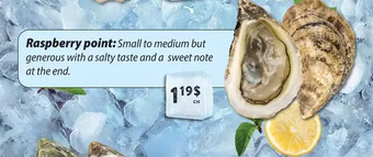 Marché Adonis Raspberry point oysters offer