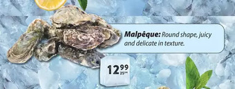 Marché Adonis Malpeque oysters offer