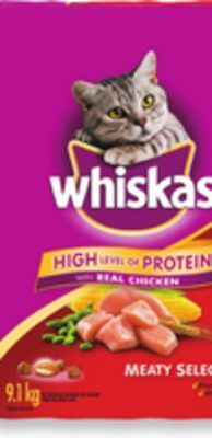 Walmart Whiskas dry cat food for large cats offer
