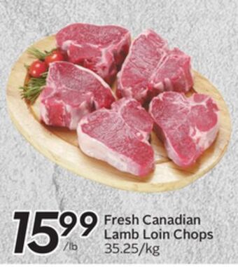 Sobeys Fresh canadian lamb loin chops offer