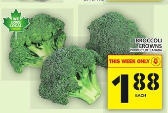 Food Basics Broccoli crowns offer